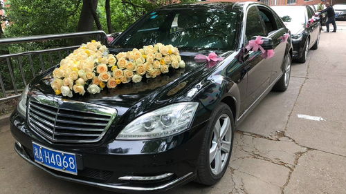 河南租車報價、廠家資源與二手車經銷市場概覽